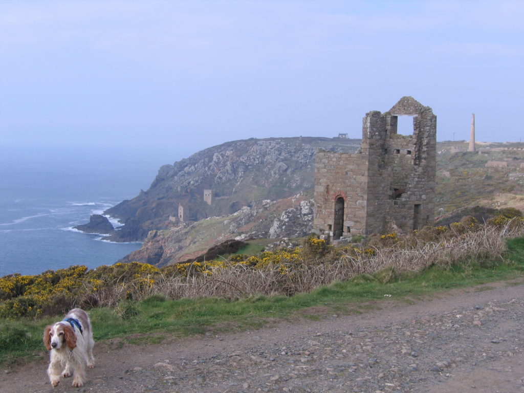 Cliffs at Botallack, chimneys and ruins with a dog in the foreground, photo