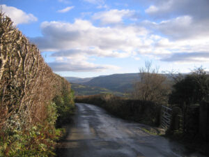 a view down the lane
